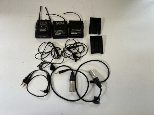 Sony Radio Mic Kit.