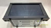 [QTY1] Sony BVM-F170 Sony Monitor - 2