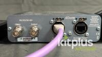 Sonifex Audiophile Dante Interface DIO10 [Qty2] mounted on rack shelf - 3