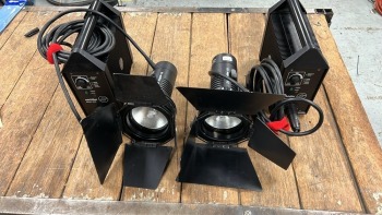 2x Sachtler SUNGUN Heads 200MSR, with 2x mains ballast - not in case