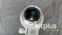 Canon 70-200mm, USM (FF) F2.8, EF (FT: 77mm) - 5