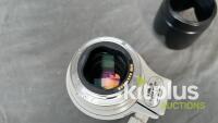 Canon 70-200mm, USM (FF) F2.8, EF (FT: 77mm) - 5