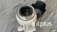 Canon 70-200mm, USM II, IS (FF) F2.8, EF (FT: 77mm) - 5