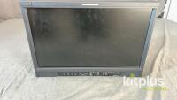 JVC DT-E21L4 Multi-Format LCD Monitor, 21.5" Screen, 1920x1080 Resolution