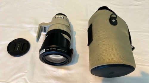 Canon Zoom Lens EF 28-300mm In Soft Case