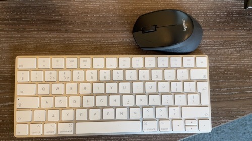 Apple Keyboard and Logitech Mouse